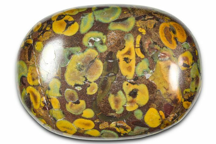 Polished Fruit Jasper Palm Stone - India #342255